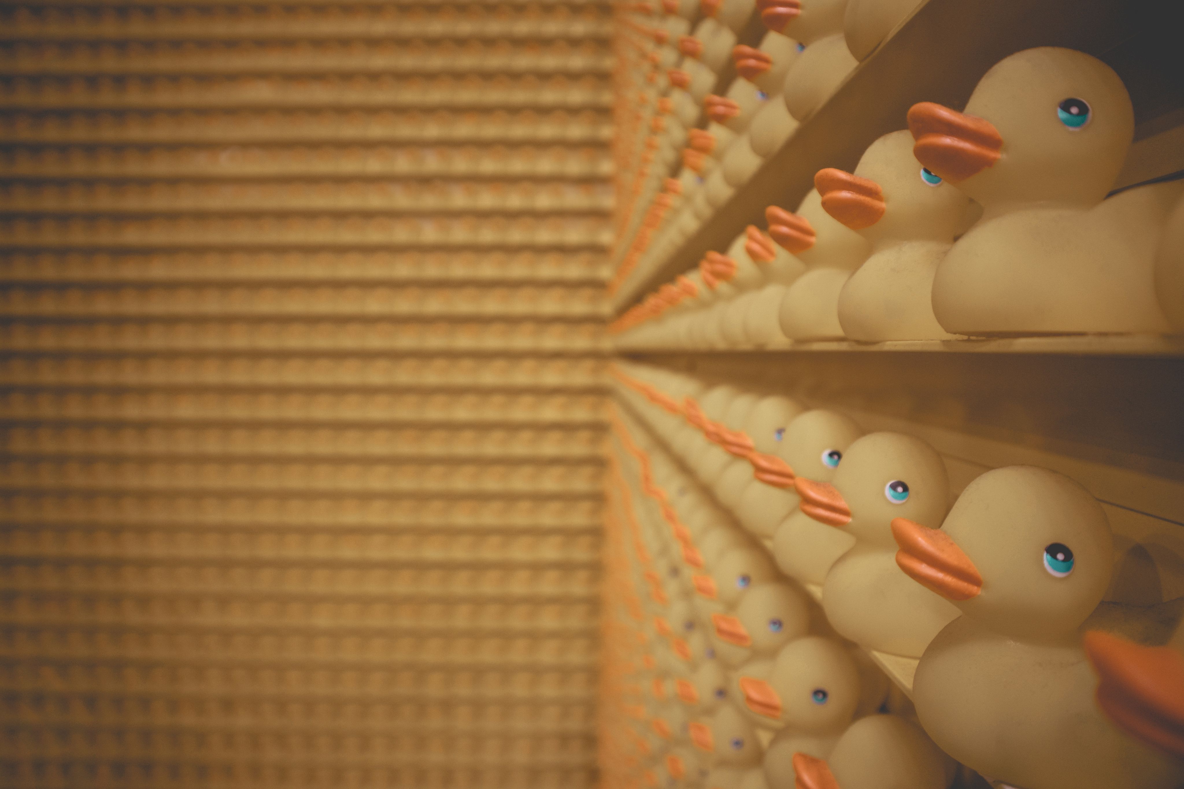 Quirky shapes in repetition will make you do a double-take